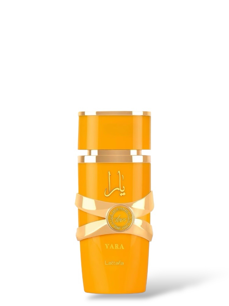 photoroom_20251021_144205-2